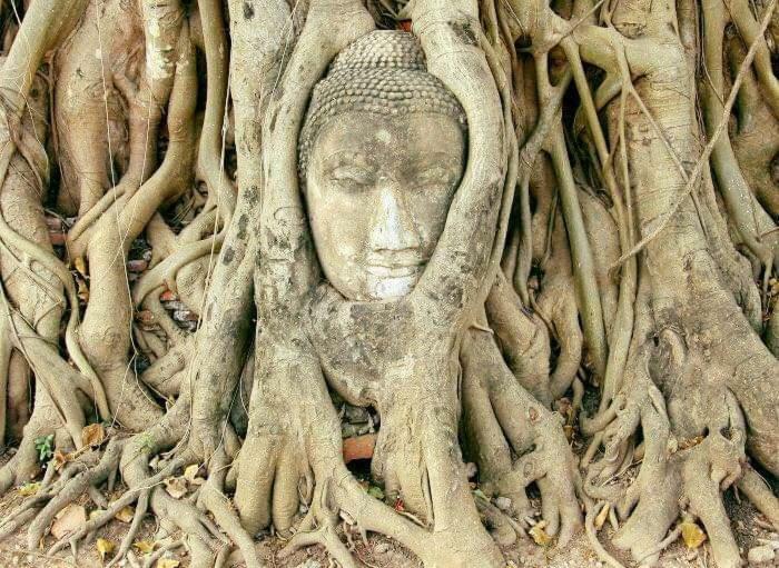 Chanida Home Phra Nakhon Si Ayutthaya Dış mekan fotoğraf
